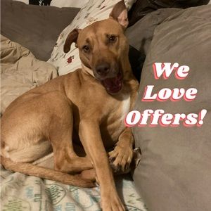 Piggy says WE LOVE OFFERS (: and Cute Animals